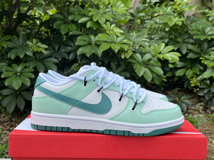 Nike Dunk Low  FD9911-101