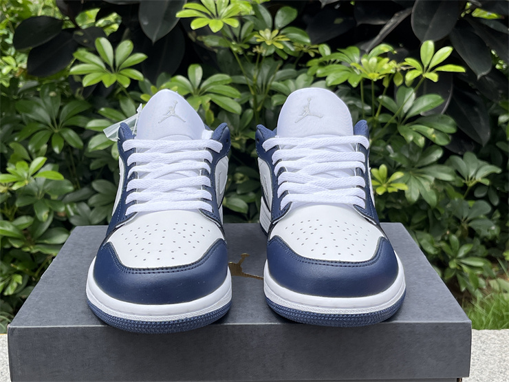 Air Jordan 1 Low  553558-141