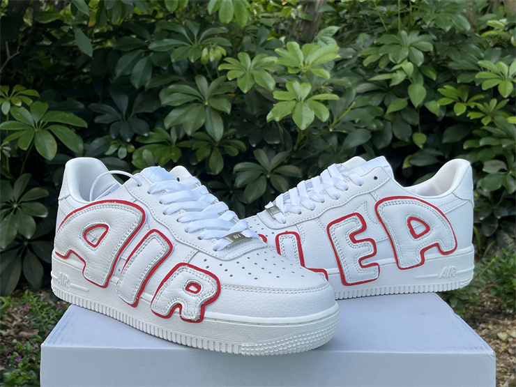 Cactus Plant Flea Market x Nike Air Force 1 CK4746-991