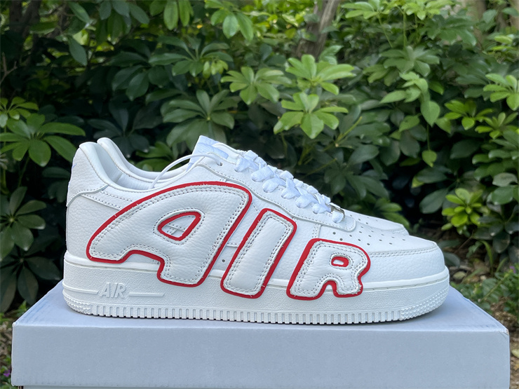 Cactus Plant Flea Market x Nike Air Force 1 CK4746-991