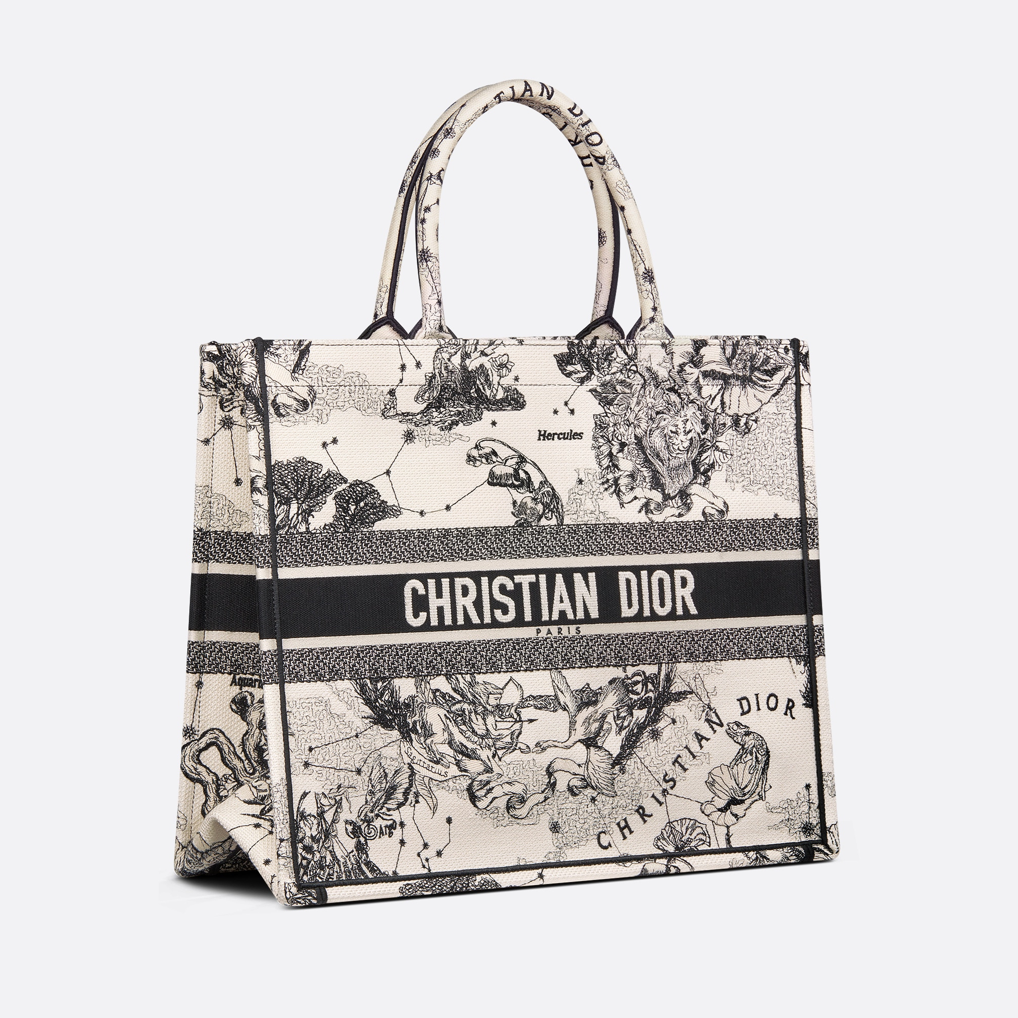 BAG（41.5 x 35 x 18 CM）