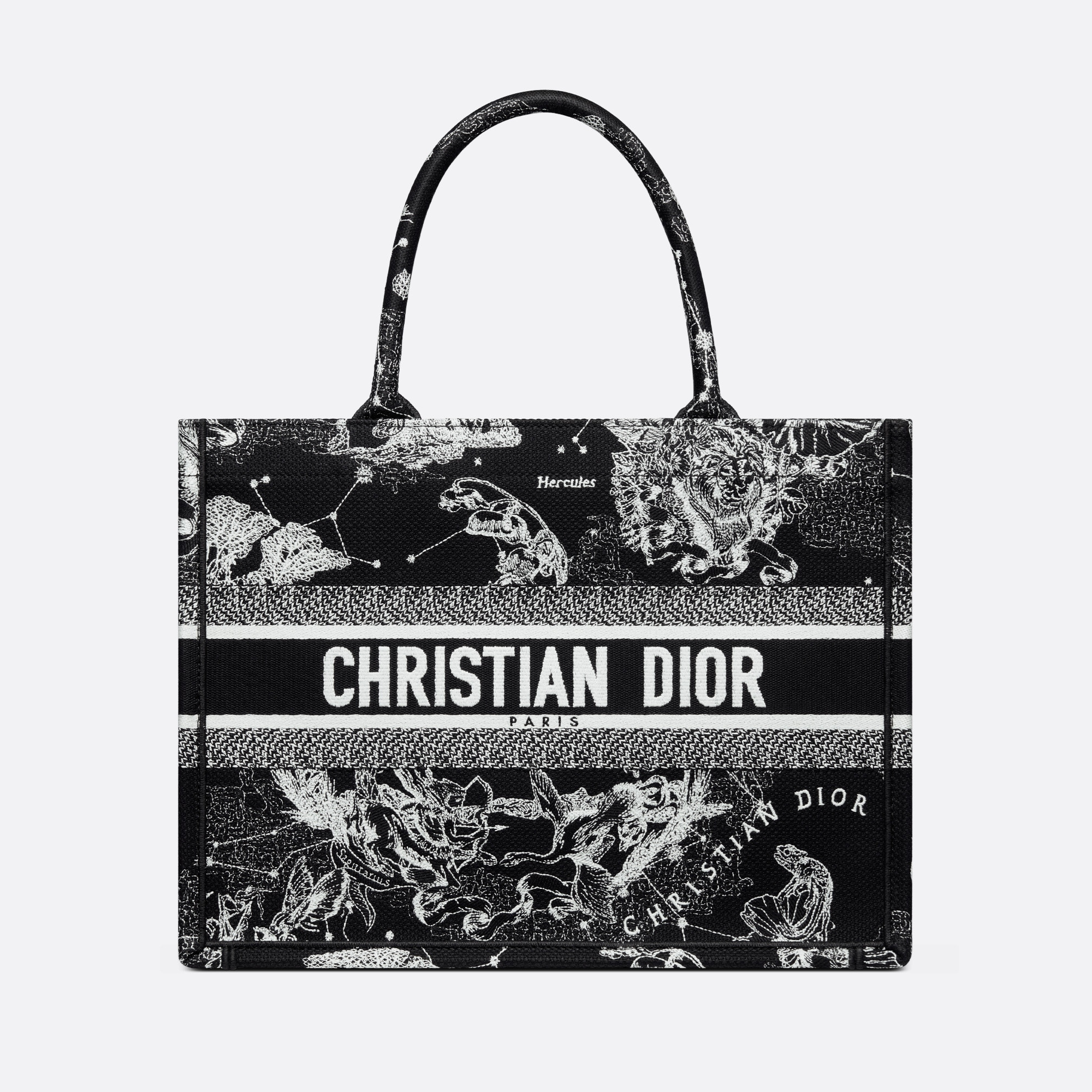 BAG (36 x 27.5 x 16.5 cm)