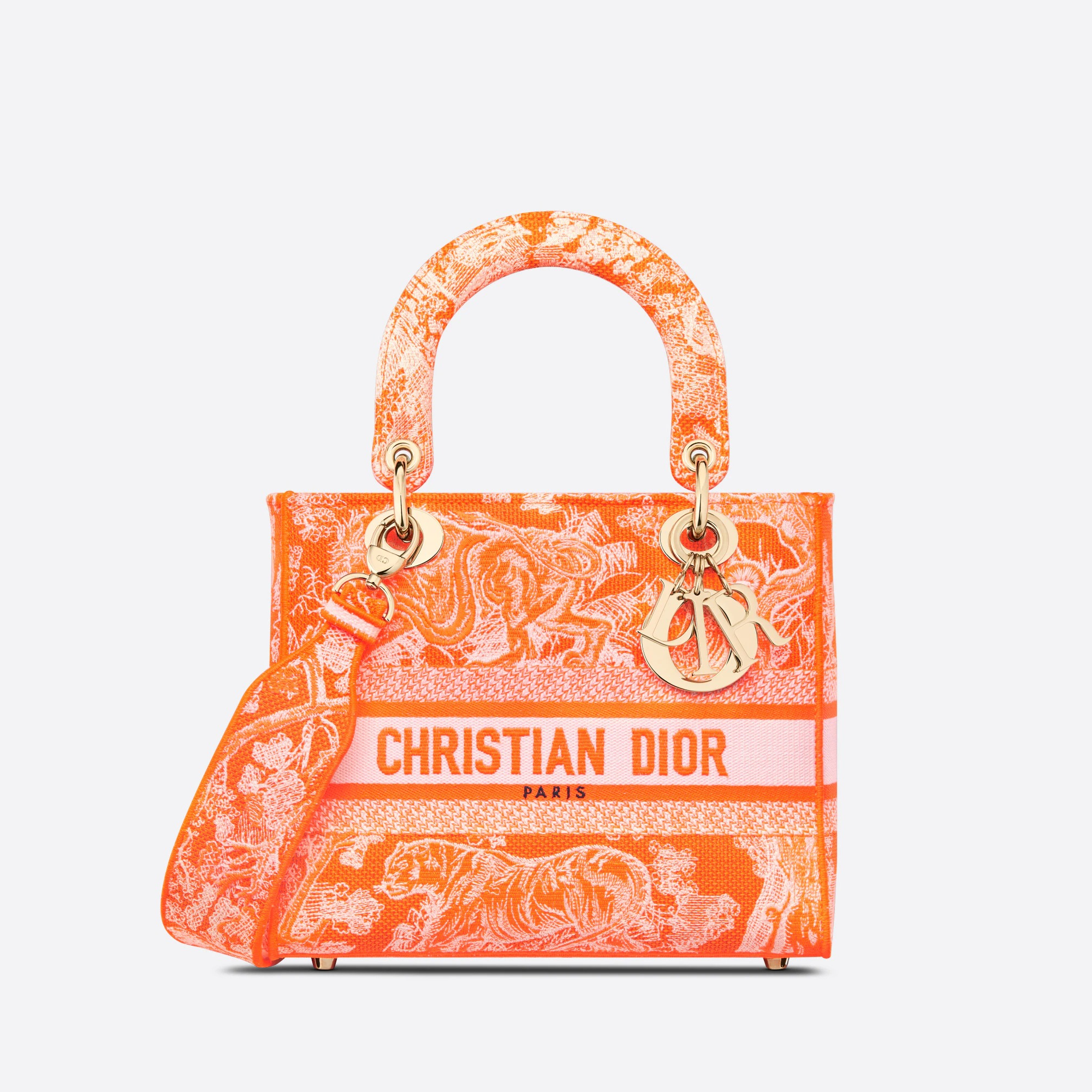 BAG（24 x 20 x 11 cm ）