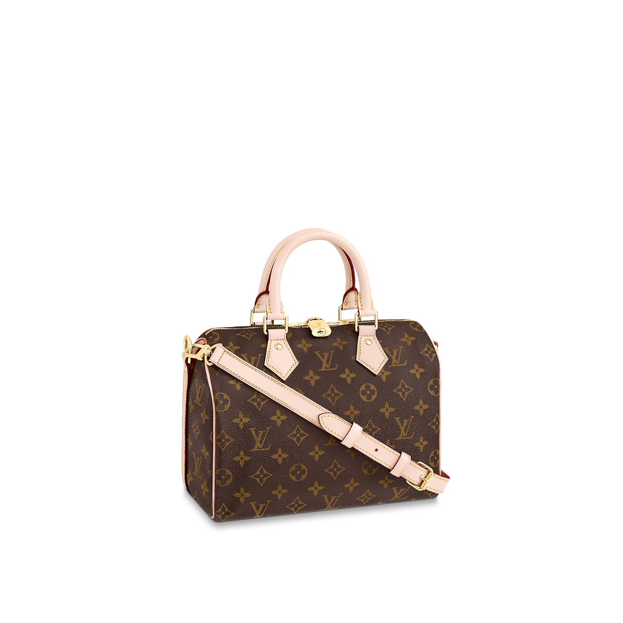 BAG ( 25 x 19 x 15  CM ）