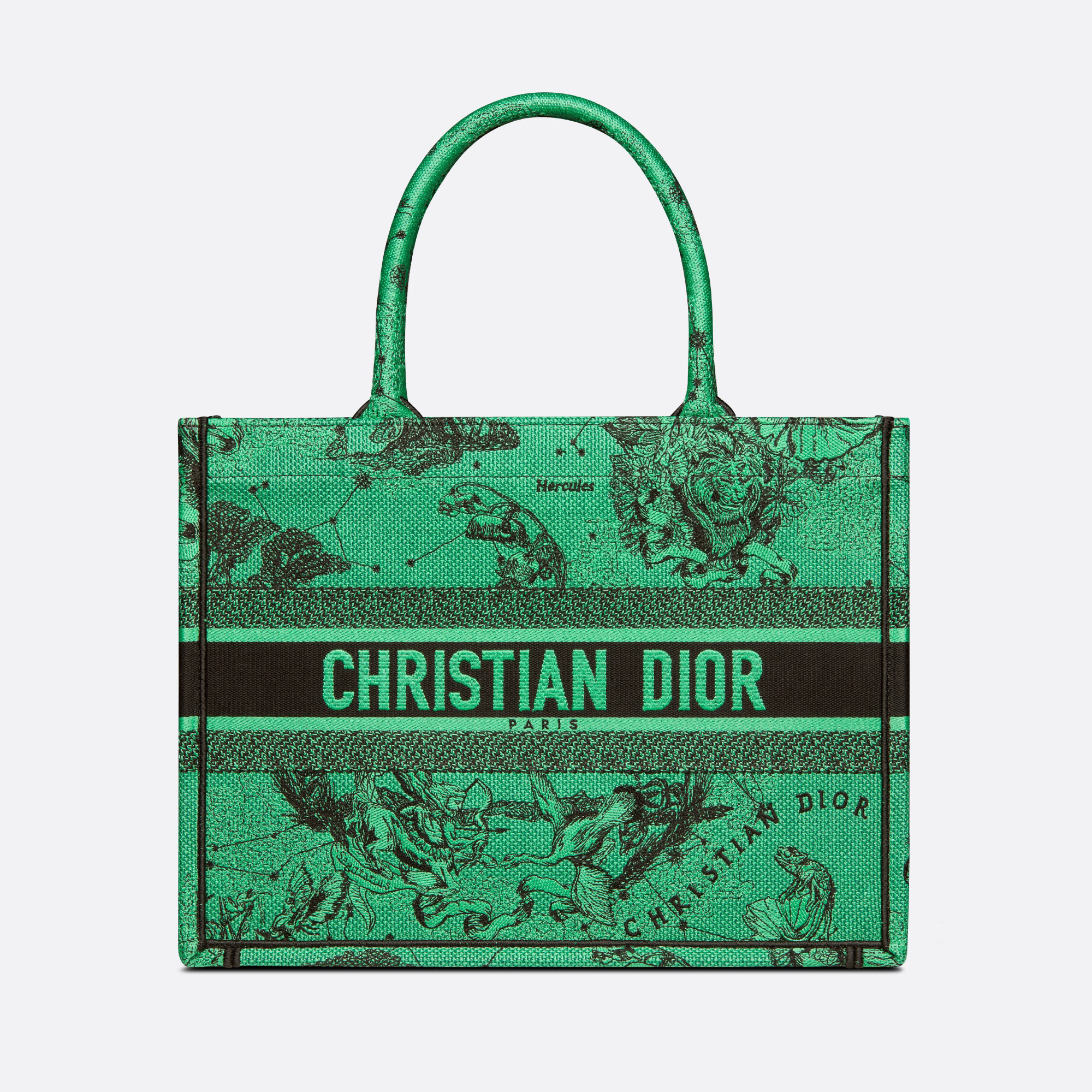 BAG (36 x 27.5 x 16.5 cm)