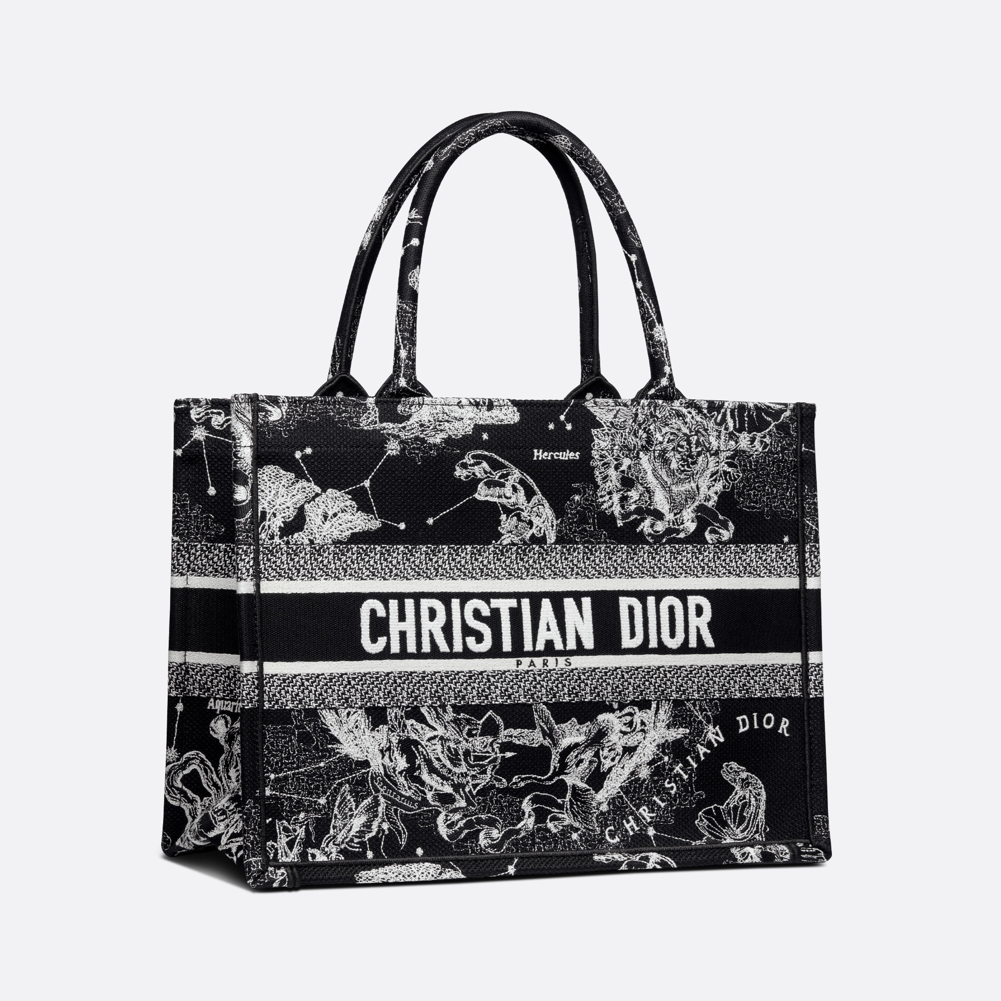 BAG (36 x 27.5 x 16.5 cm)