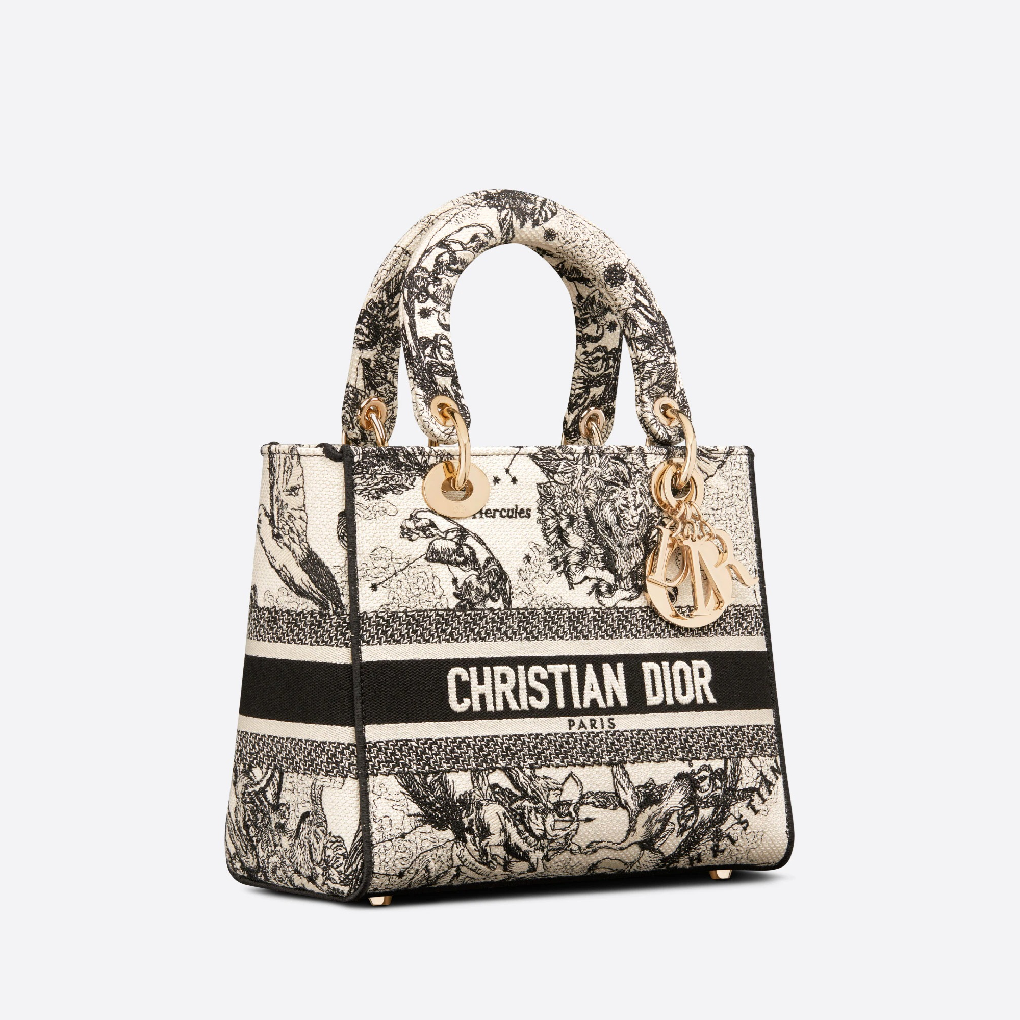 BAG（24 x 20 x 11 cm）