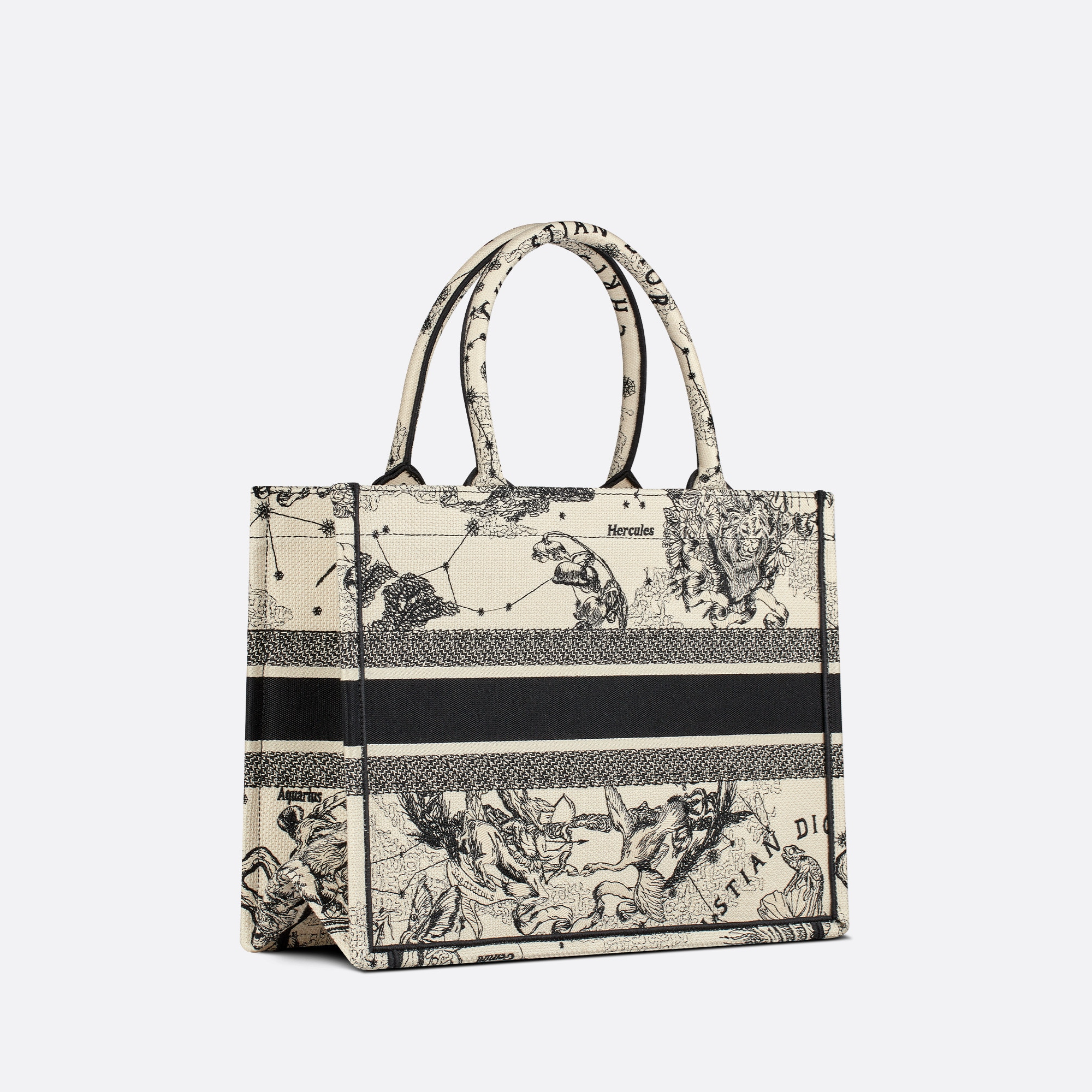 BAG (36 x 27.5 x 16.5 cm)