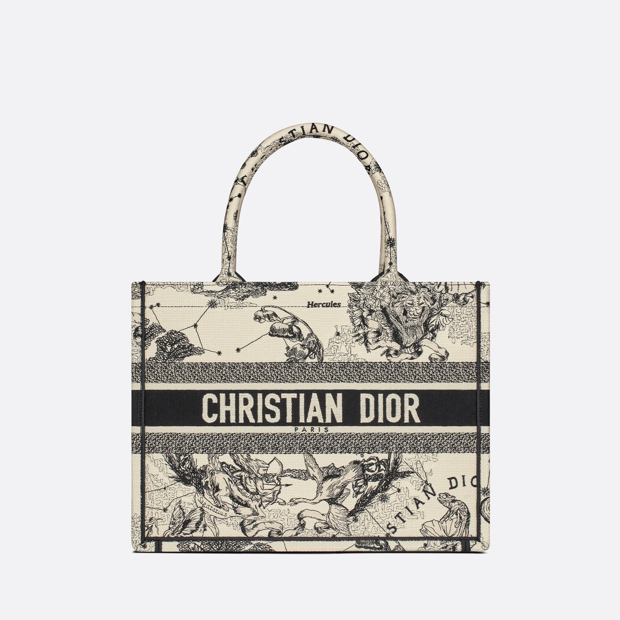 BAG (36 x 27.5 x 16.5 cm)