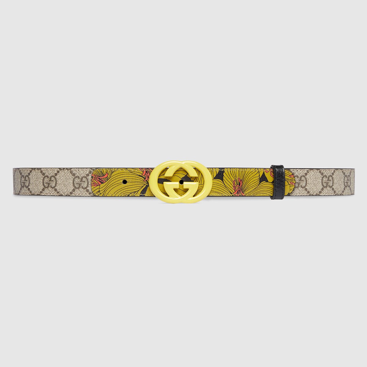 Belt-2.5cm Width