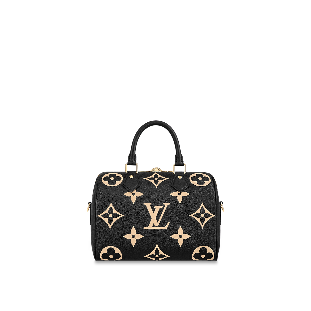 BAG ( 25 x 19 x 15 CM ）