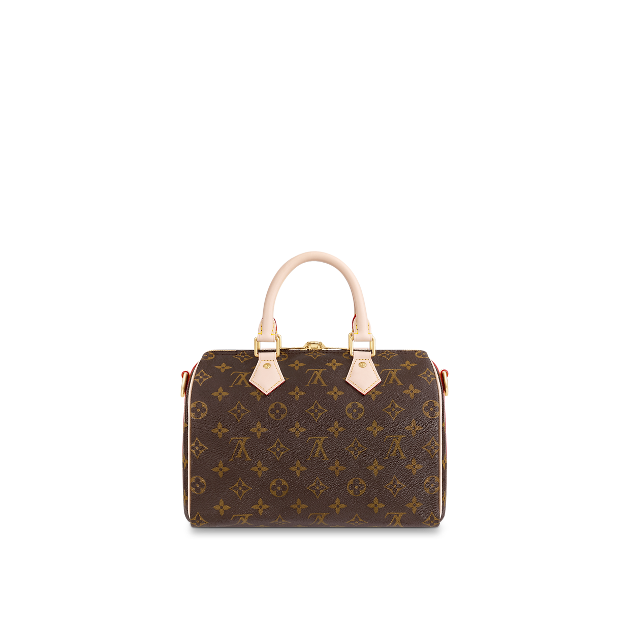 BAG ( 25 x 19 x 15  CM ）