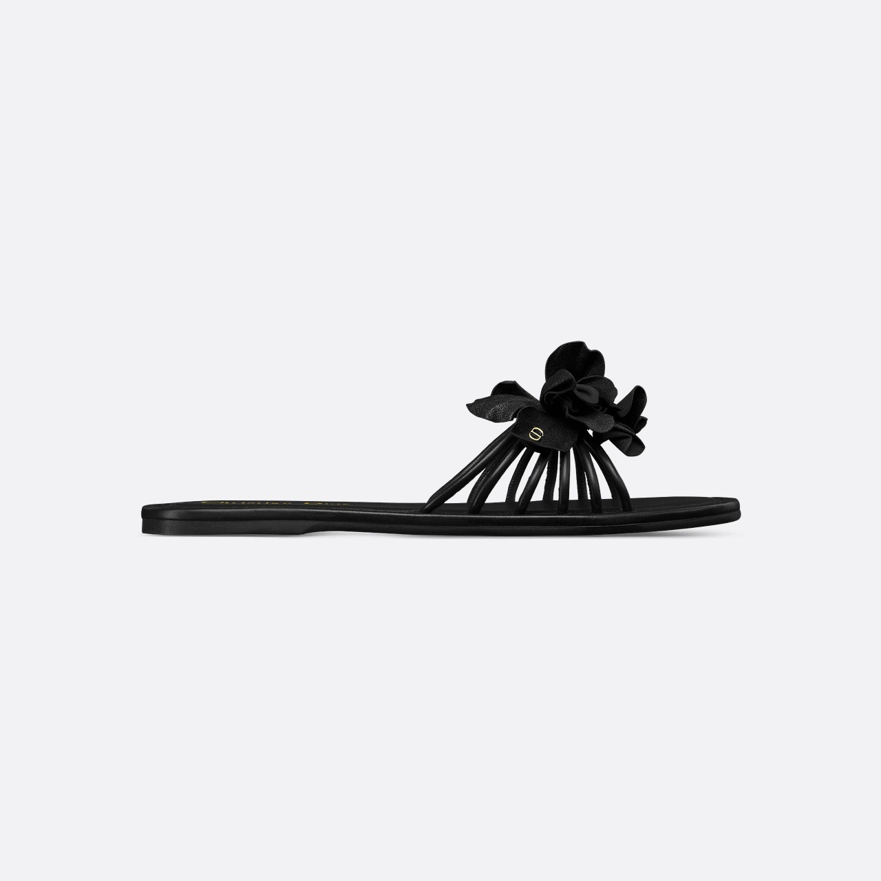 Slides