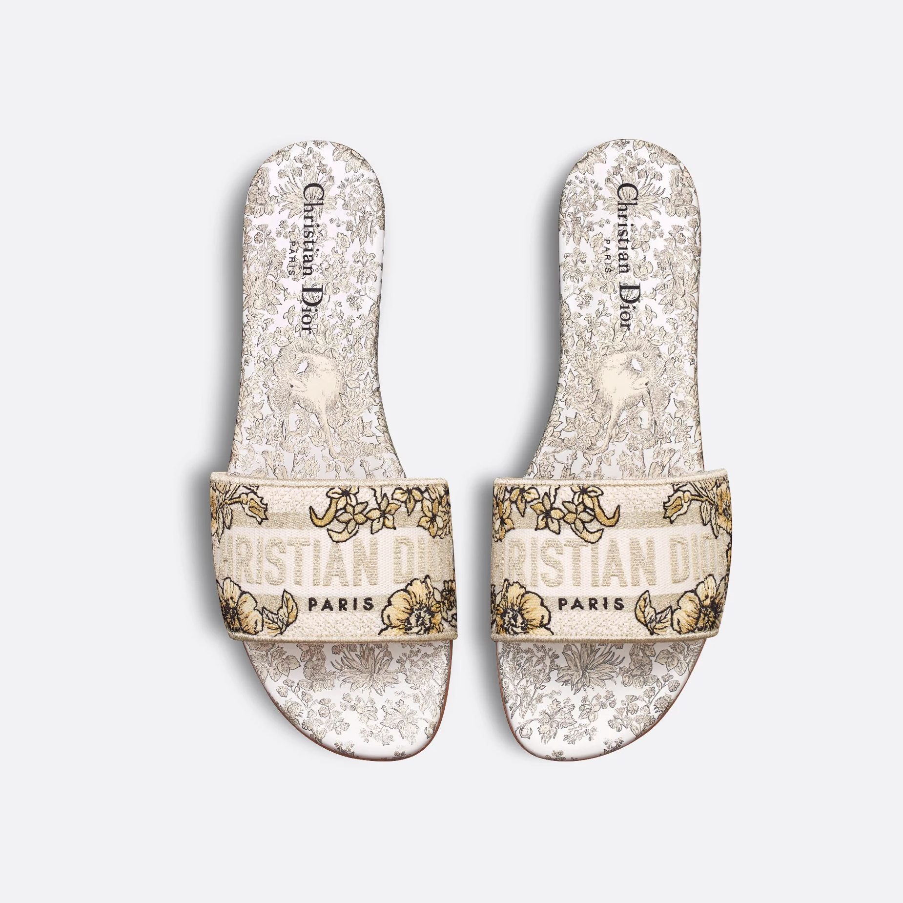 Slides