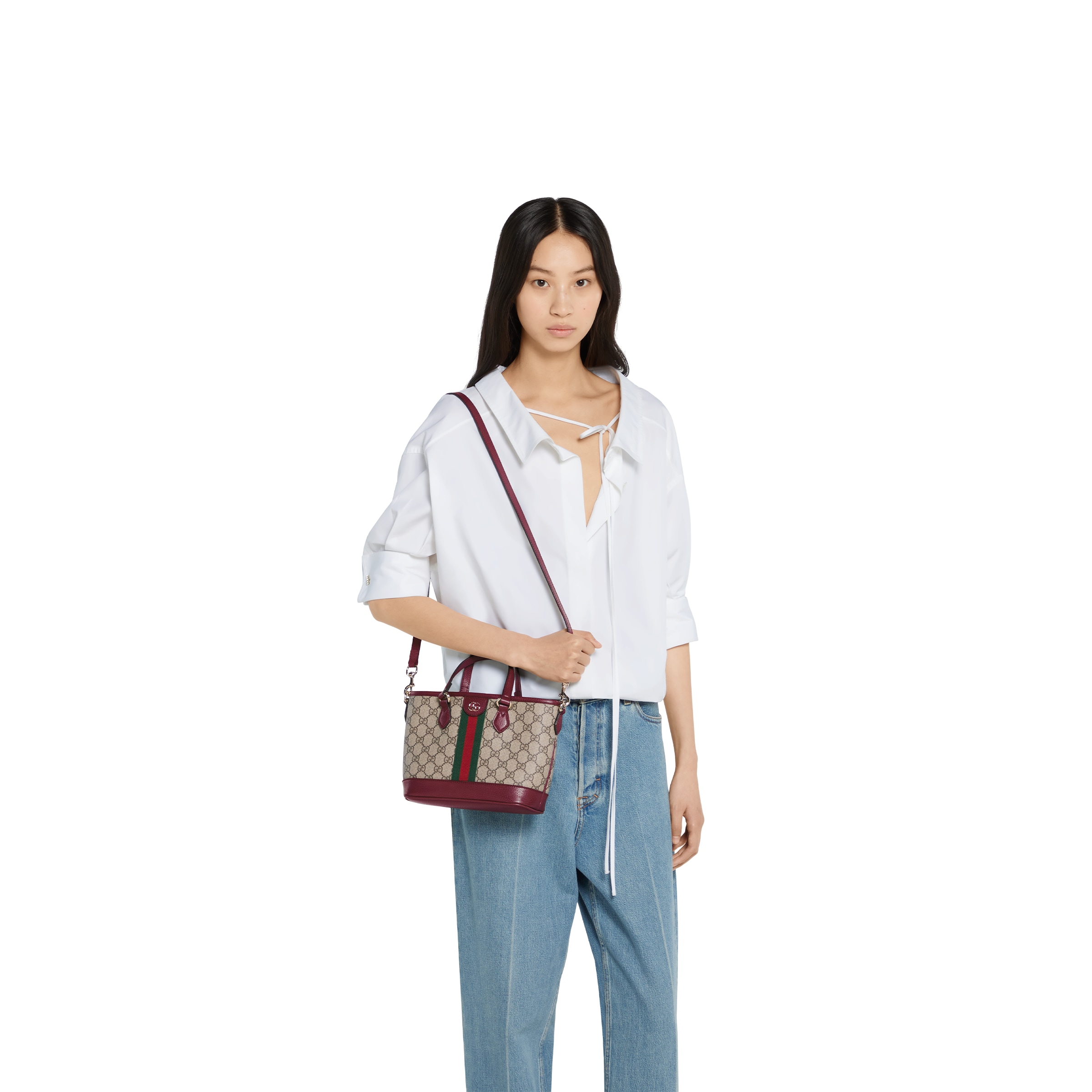 BAG（22.5 X 17 X 11 CM)