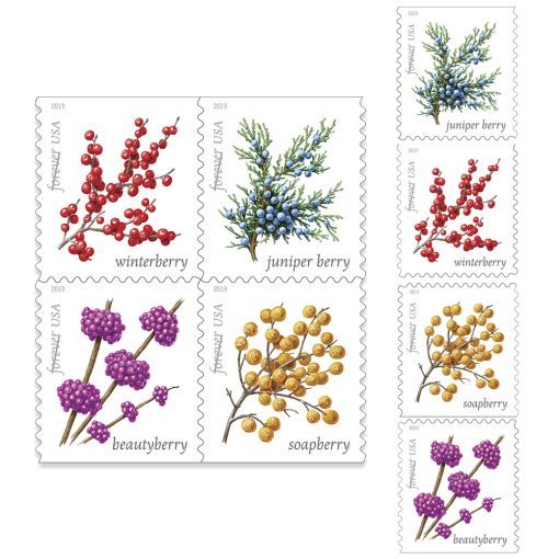 Winter Berries 2019