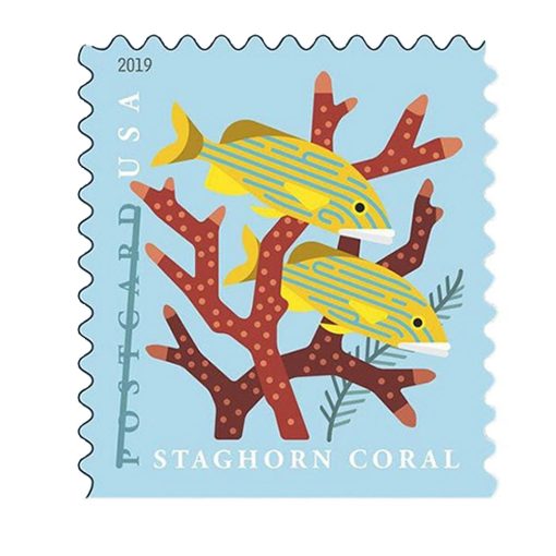 Coral Reefs 2019