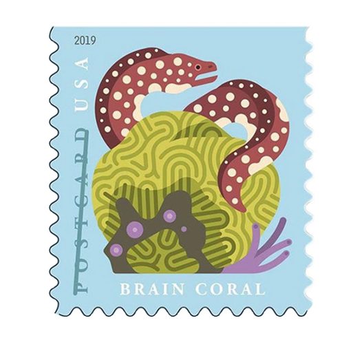 Coral Reefs 2019
