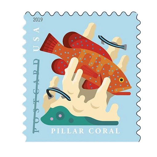 Coral Reefs 2019