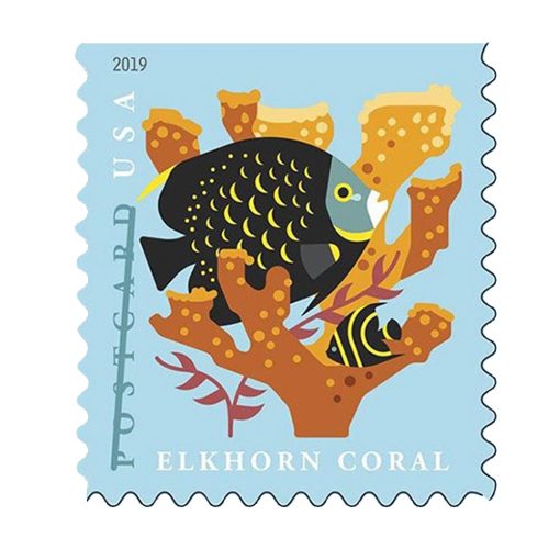 Coral Reefs 2019