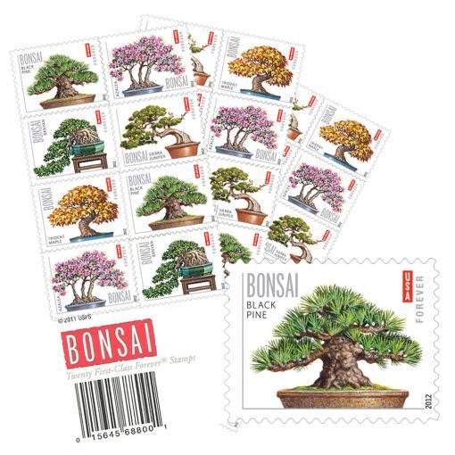 Bonsai Tree 2012