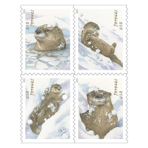 Otters in Snow 2021