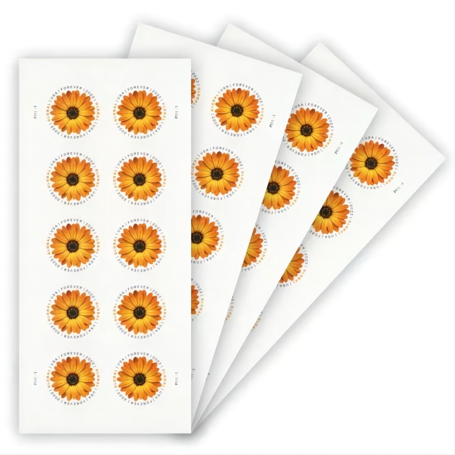 Global African Daisy 2022