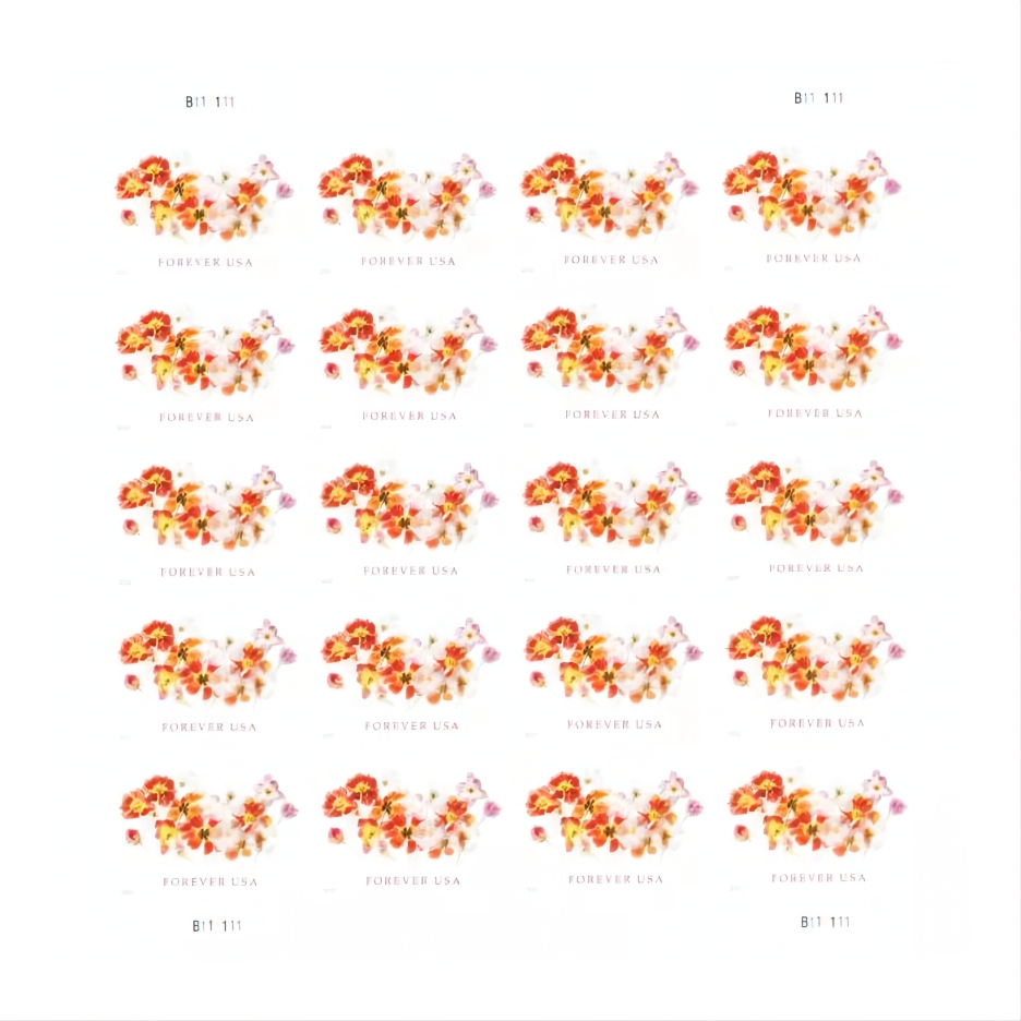 Tulips 2022
