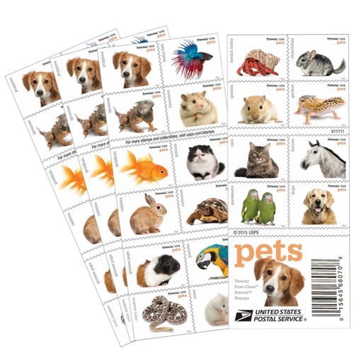 Pets Celebrate Animals 2016