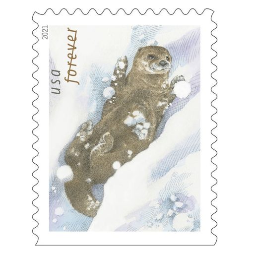 Otters in Snow 2021