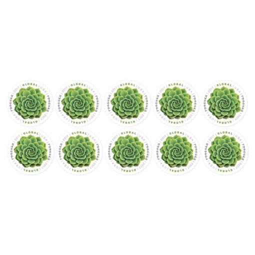 Global The Green Succulent 2017