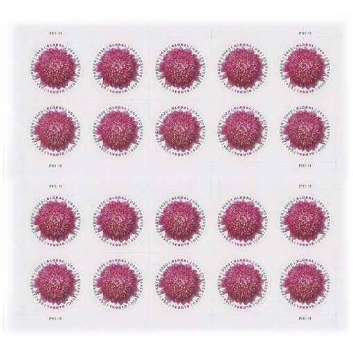 Global Chrysanthemum 2020