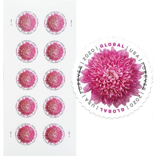 Global Chrysanthemum 2020
