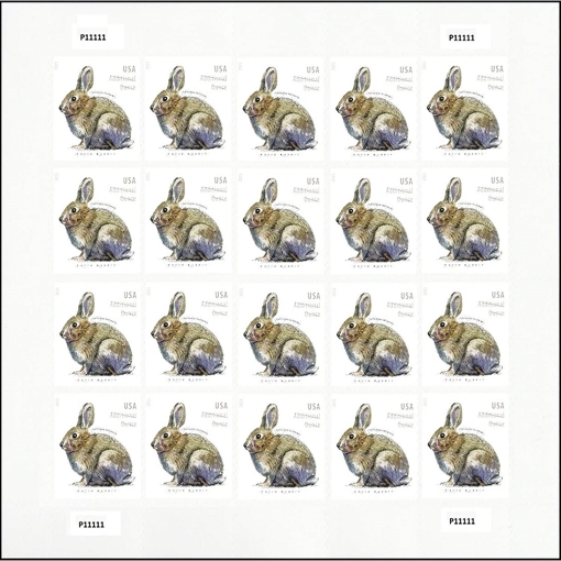 2021 Brush Rabbit（Postage Stamps ）