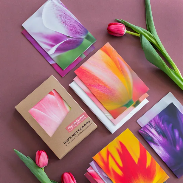 2023 Tulip Blossom