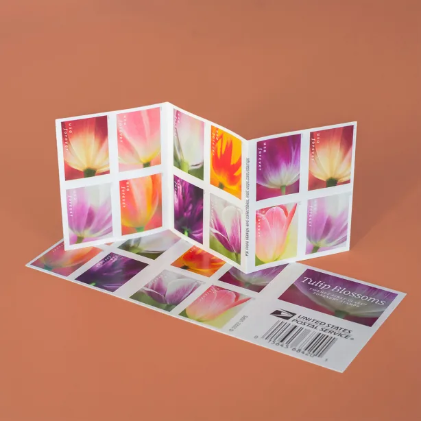 2023 Tulip Blossom