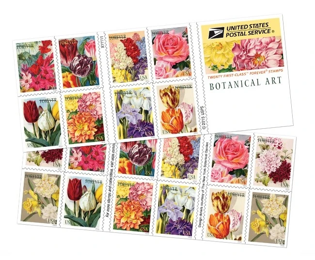 2015 Botanical Art