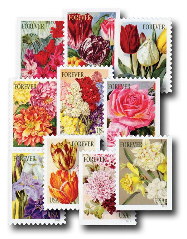 2015 Botanical Art