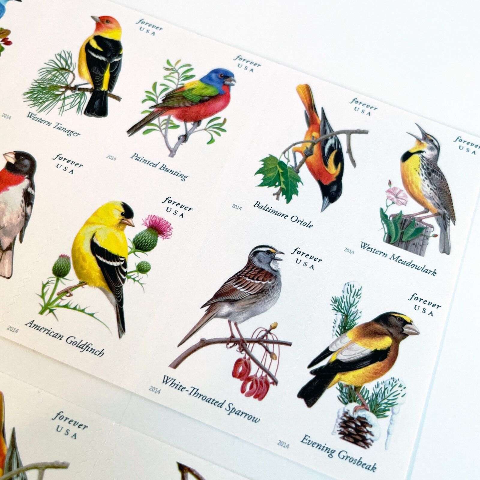 2014 Songbirds