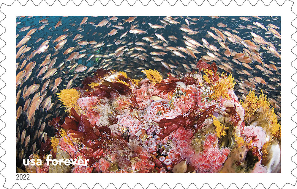 2022 National Marine Sanctuaries