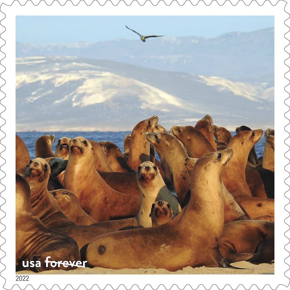 2022 National Marine Sanctuaries
