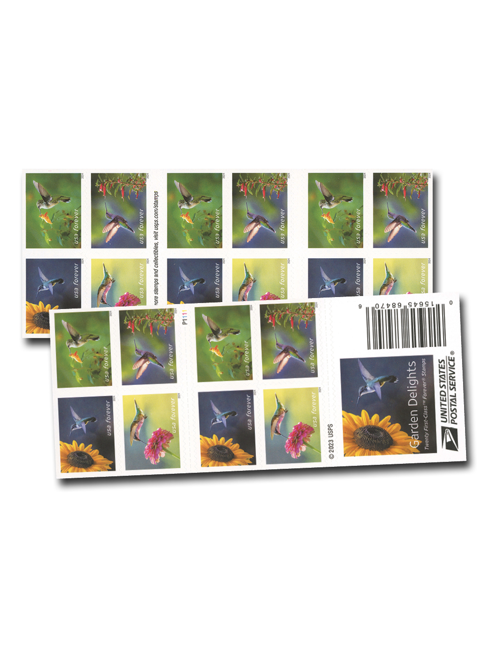 Garden Delights 2024