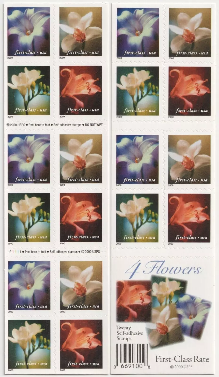 2000 4 Flowers