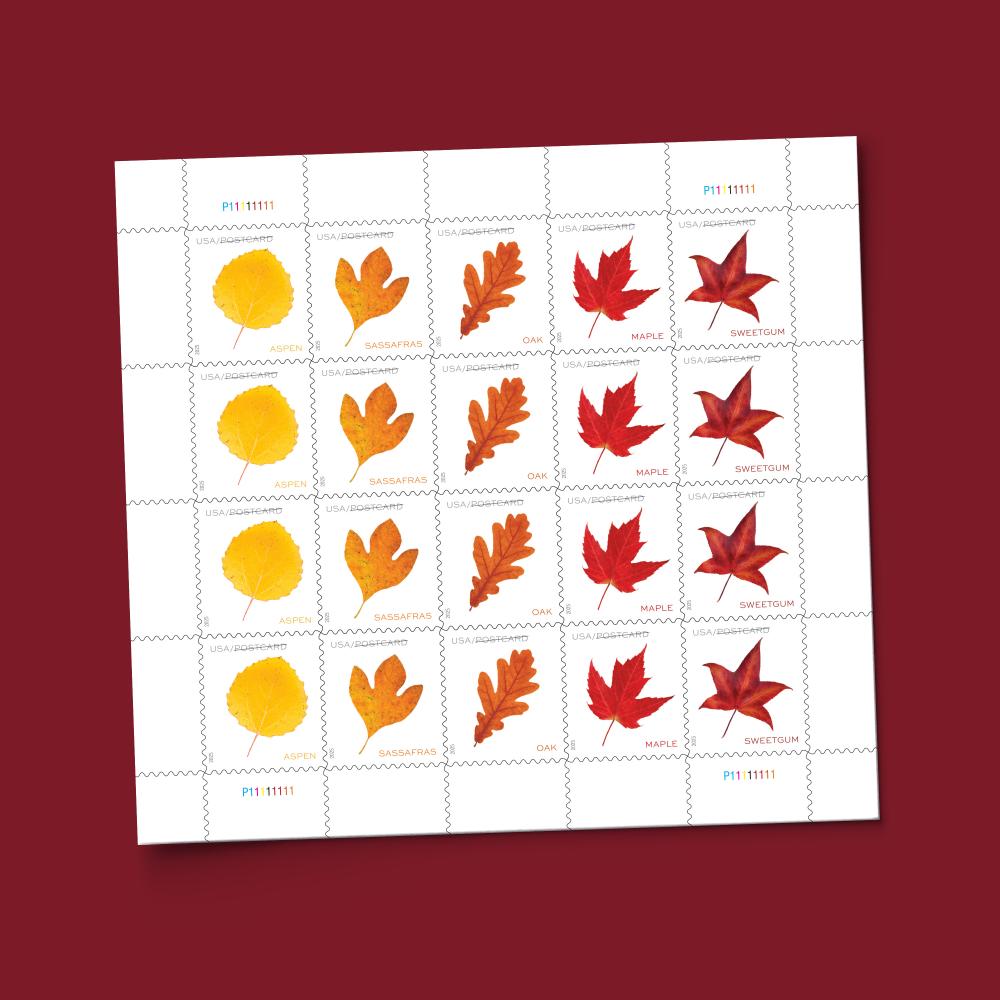 2025 Vibrant Leaves(Postcard)