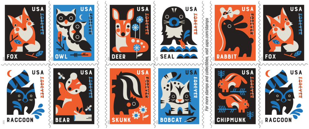 Baby Wild Animals 2025