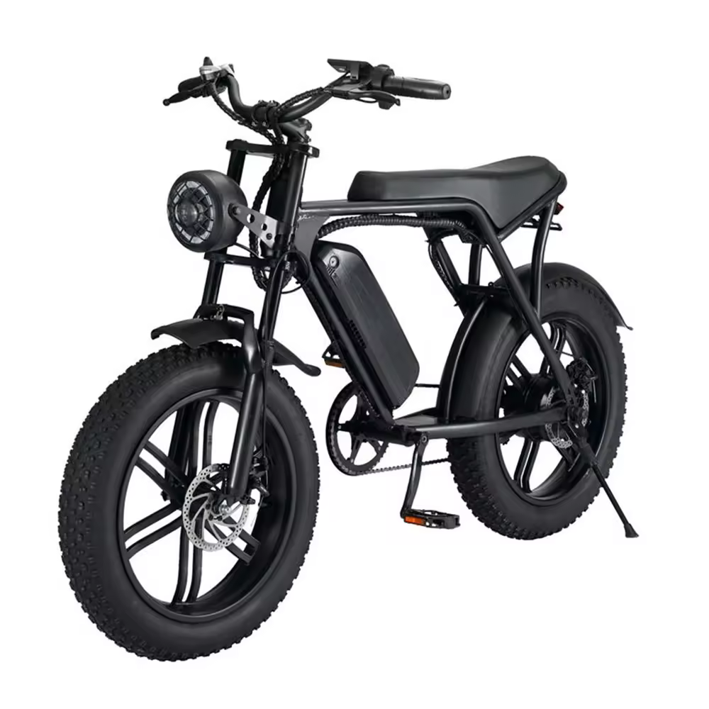 Electric Bike 20 Inch Off-Road Electric Bike 750W Motor 15ah Battery Beach Cruiser Electric Bike