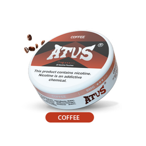 ATVS Nicotine Pouches  20PCS per item (in one can) - levipo