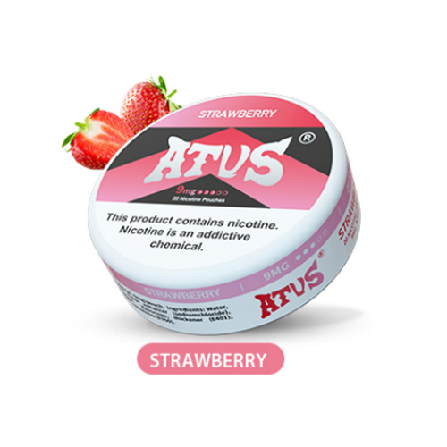 ATVS Nicotine Pouches  20PCS per item (in one can) - levipo