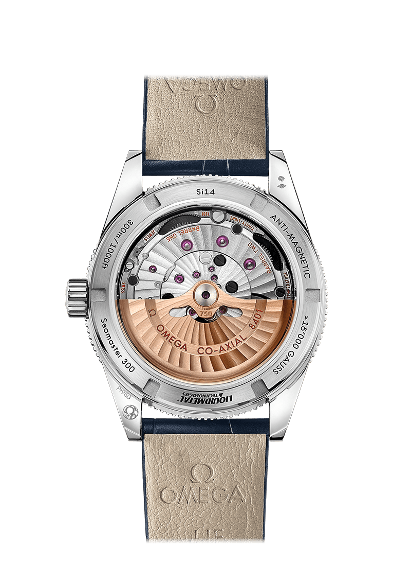 SEAMASTER 300 MASTER COAXIAL CHRONOMETER 41 MM 233.93.41.21.03.001