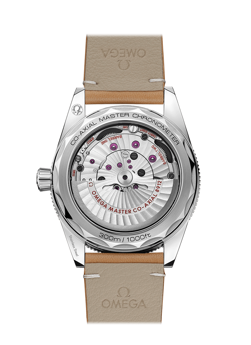 SEAMASTER 300 COAXIAL MASTER CHRONOMETER 41 MM 234.32.41.21.03.001